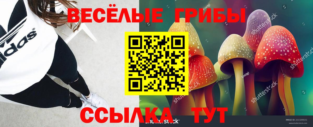 Псилоцибиновые грибы ЛСД Кировск